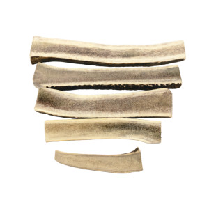 Brekz Snacks - Split Antler voor de hond Giant - Per 2