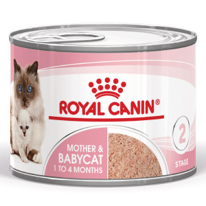 Royal Canin Mother & Babycat natvoer kat (mousse) 3 trays (36 x 195 g)