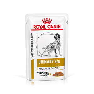 Royal Canin Veterinary Urinary S/O Moderate Calorie natvoer hond (in saus) 2 dozen (24 x 100 g)
