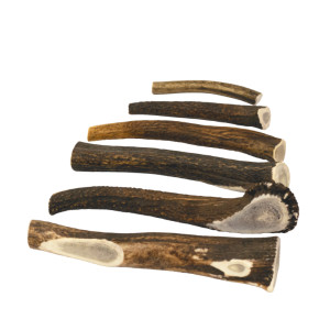 Brekz Snacks - Antler voor de hond Giant