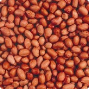 Gepelde pinda's 3 x 2,5 kg