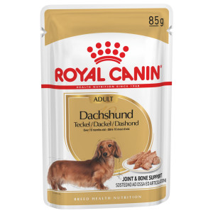 Royal Canin Adult Dachshund (Teckel) natvoer hond (paté) 1 doos (12 x 85 g)