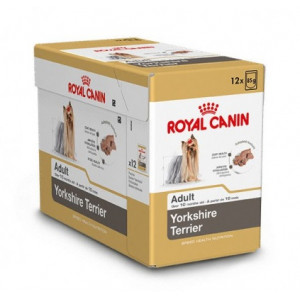 Royal Canin Adult Yorkshire Terriër natvoer hond (paté) 1 doos (12 x 85 g)
